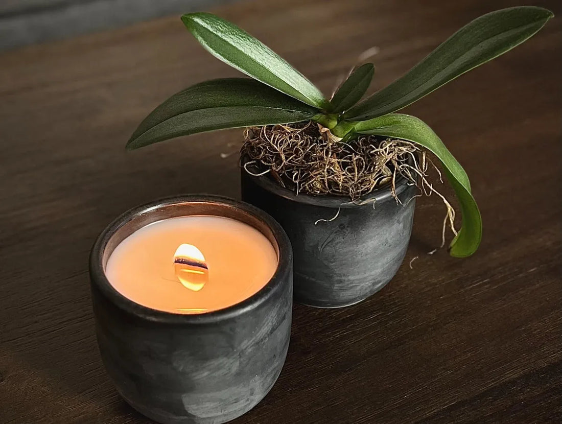 Refillable vs. Reusable Candles: Which Is Right for You?