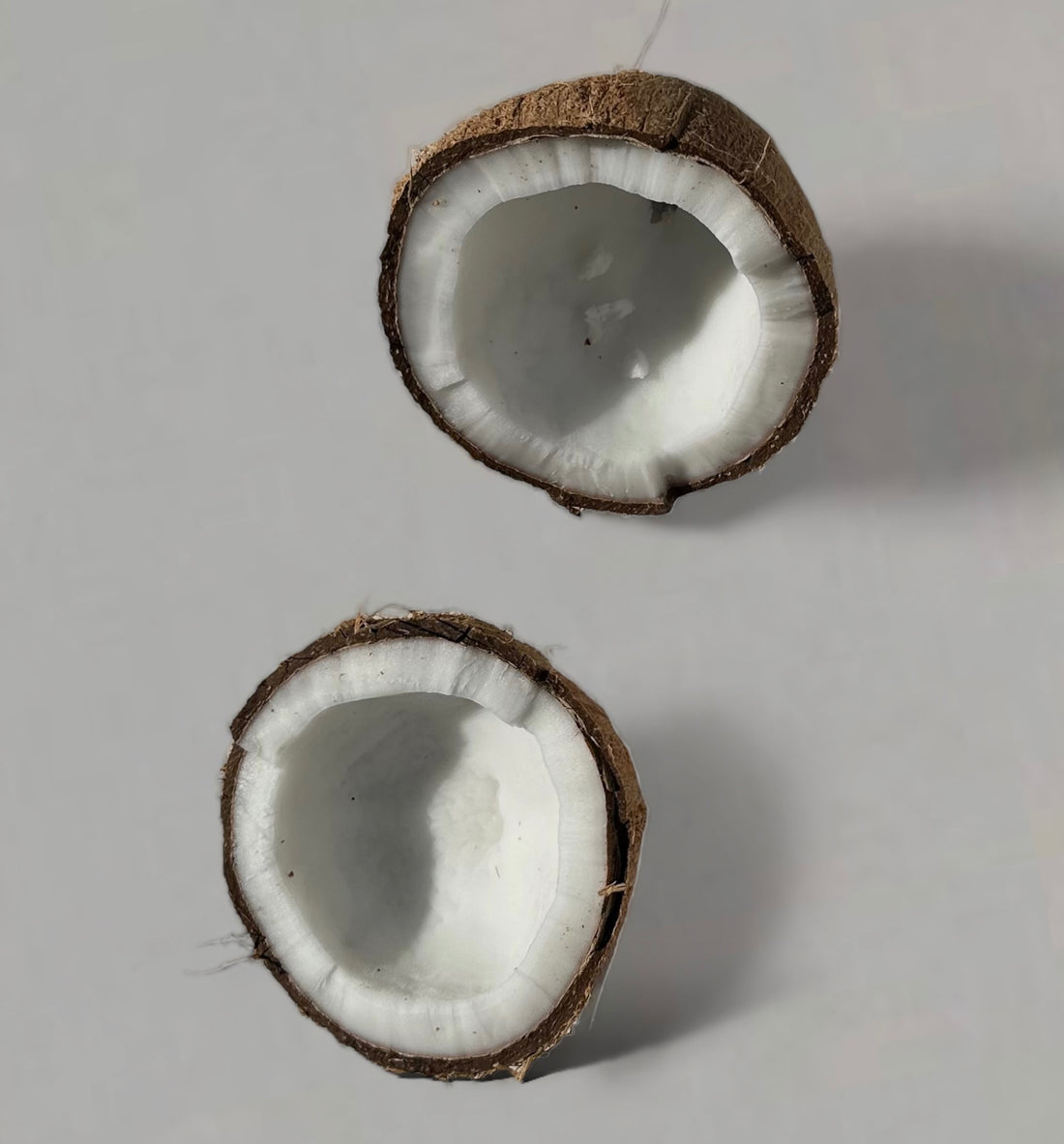 coconut